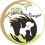 Ani'Maux Energies